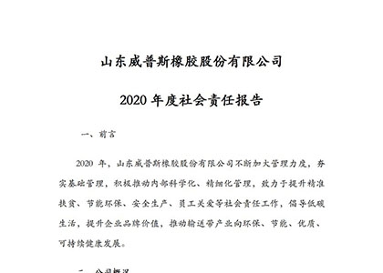 2020年度社（shè）會責任報告（gào）